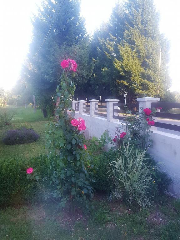 Guesthouse Samolov Vrhovine Exterior photo
