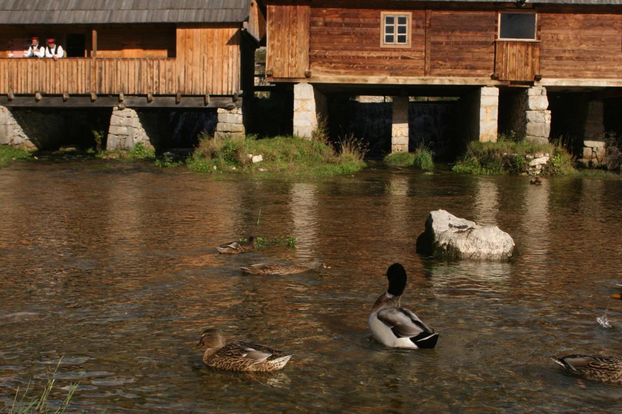 Guesthouse Samolov Vrhovine Exterior photo